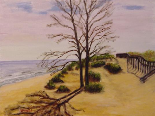 Indiana Dunes State Park